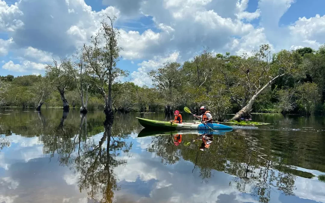 Massive Murray Paddle