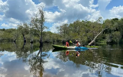 Massive Murray Paddle