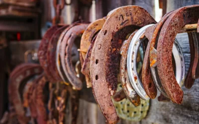 Shepo’s Whey Sculpture Park